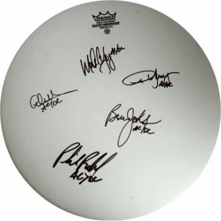 Malcolm and Angus Young, Brian Johnson, Cliff Williams, Phil Rudd AC/DC 14 inch Remo drum heads signed with proof - Awesome Artifacts 