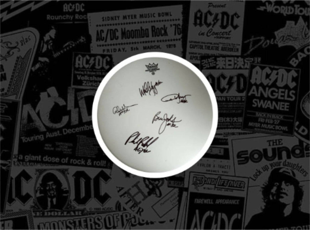 Malcolm and Angus Young, Brian Johnson, Cliff Williams, Phil Rudd AC/DC 14 inch Remo drum heads signed with proof - Awesome Artifacts 