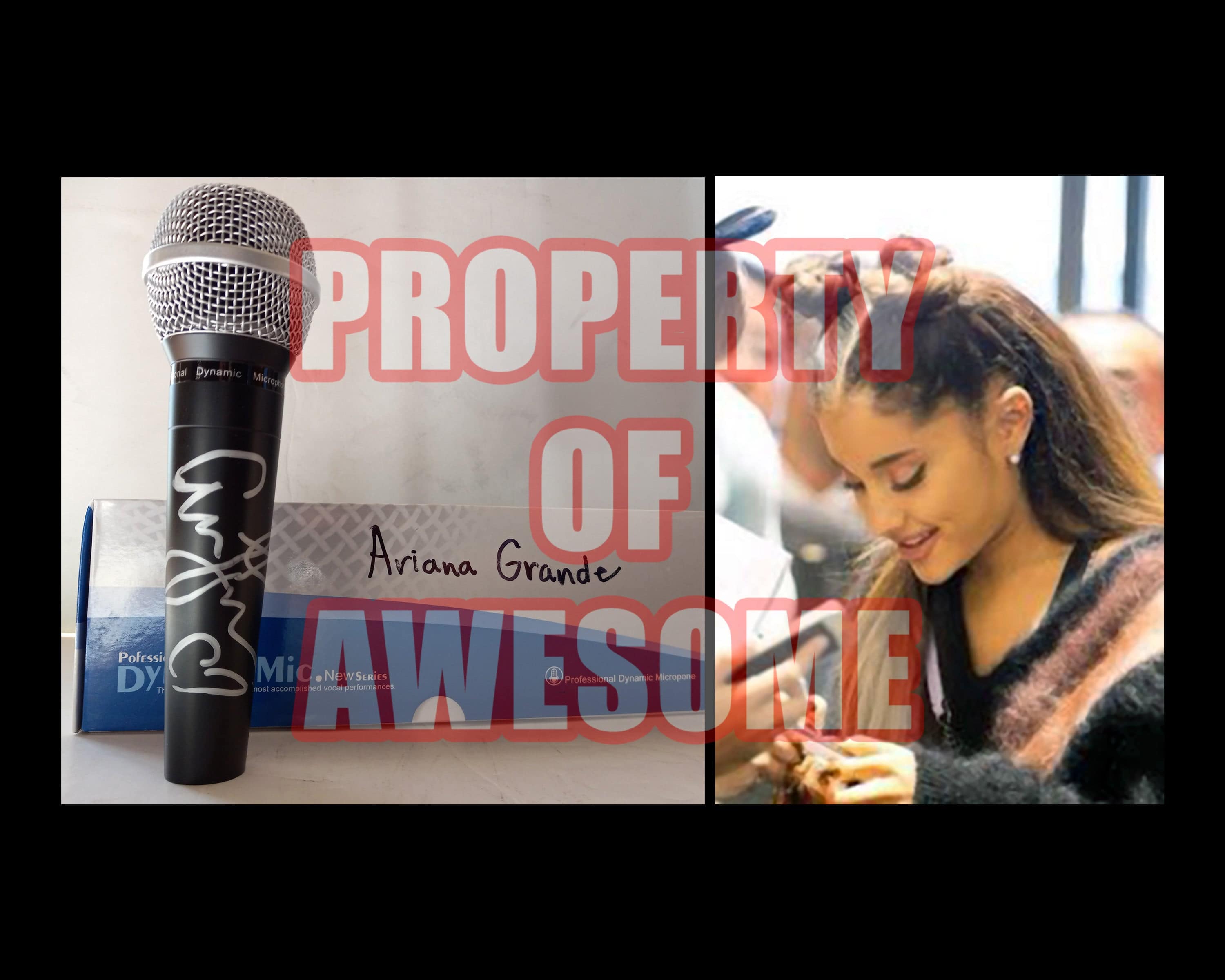 Ariana Grande microphone signed with proof