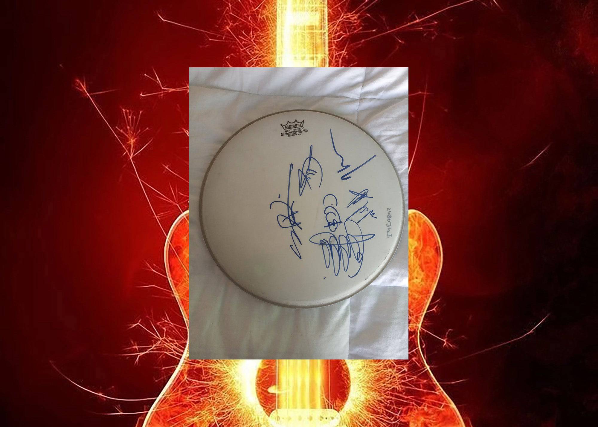 Incubus Remo 14in drum head signed with proof - Awesome Artifacts 