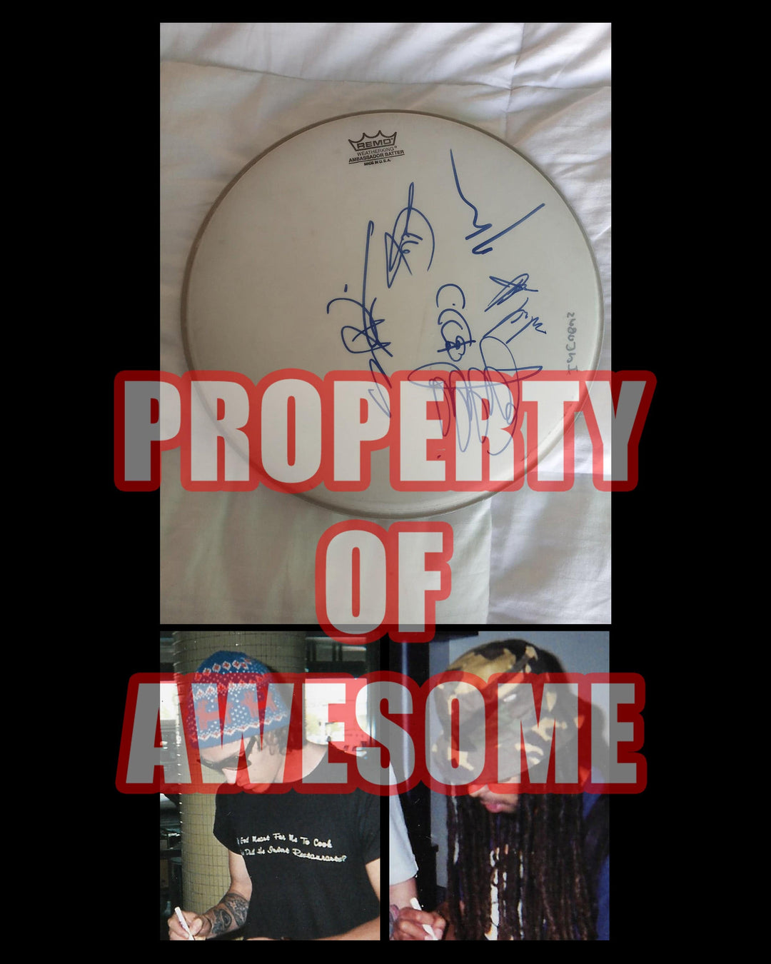 Incubus Remo 14in drum head signed with proof - Awesome Artifacts 