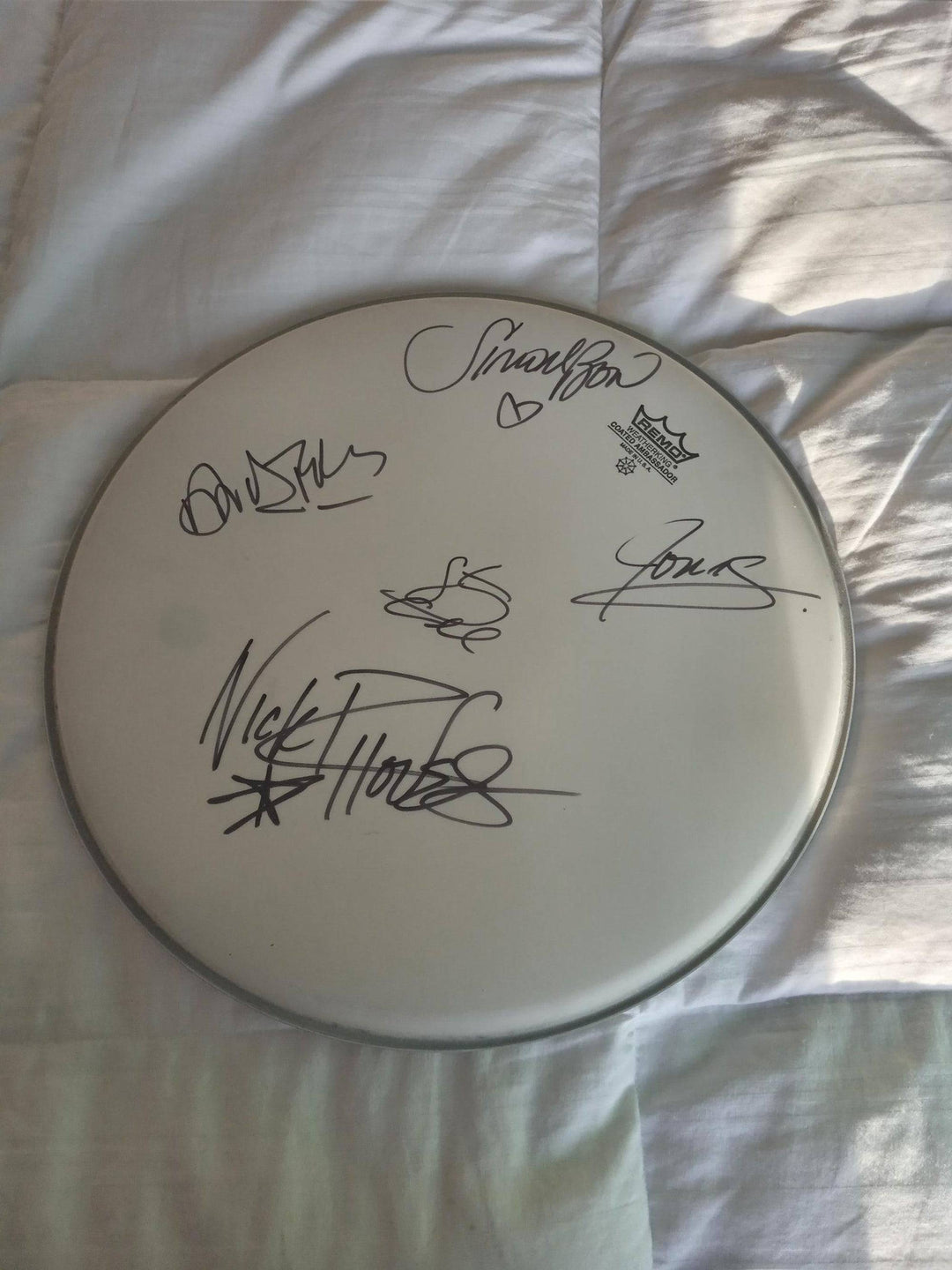 Simon Le Bon, Nick Rhodes, John Taylor, Duran Duran 14in Remo drumhead signed with proof - Awesome Artifacts 