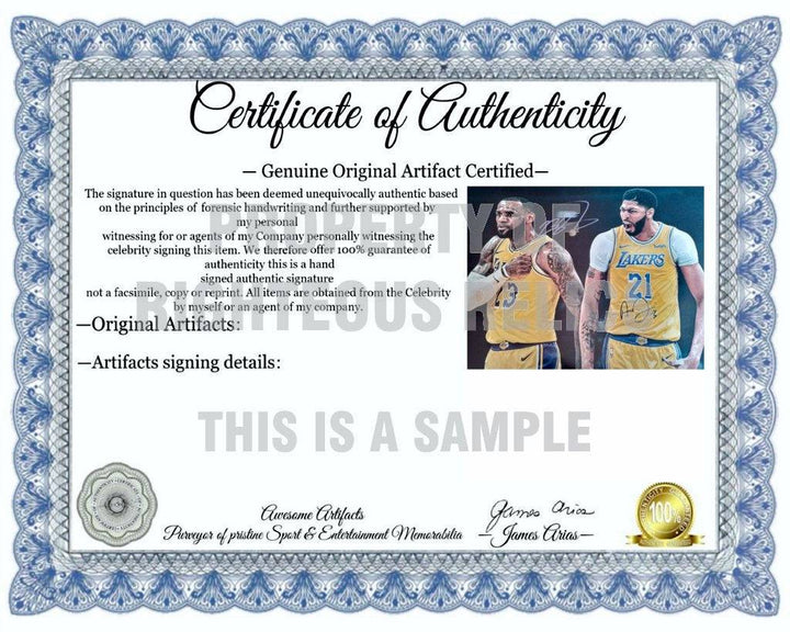 LeBron James and Anthony Davis Los Angeles Lakers 16 x 20 photo signed with proof - Awesome Artifacts 