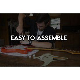 Maynard James Keenan daddy Carey Adam Jones Justin Chancell Tool Stratocaster electric pickguard signed with proof