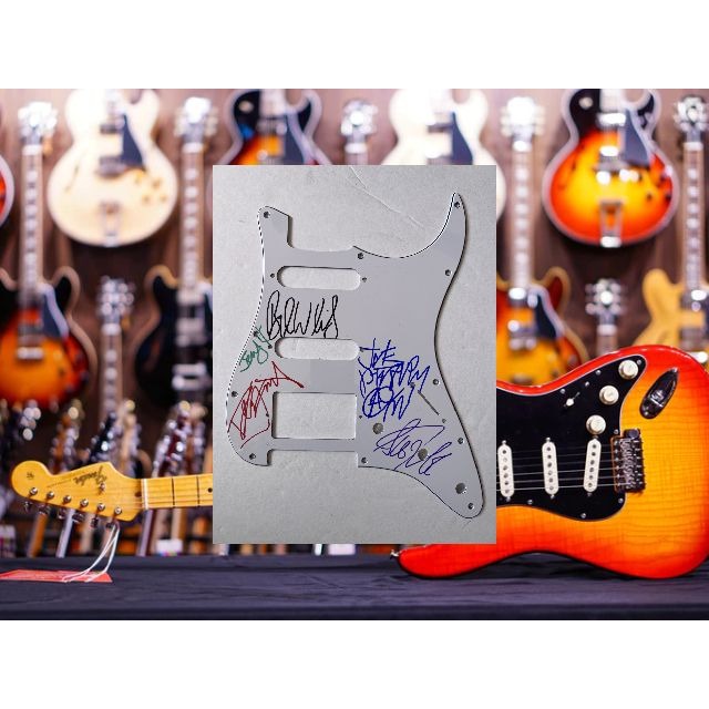 Aerosmith Steven Tyler Joe Perry Stratocaster electric pickguard signed with proof