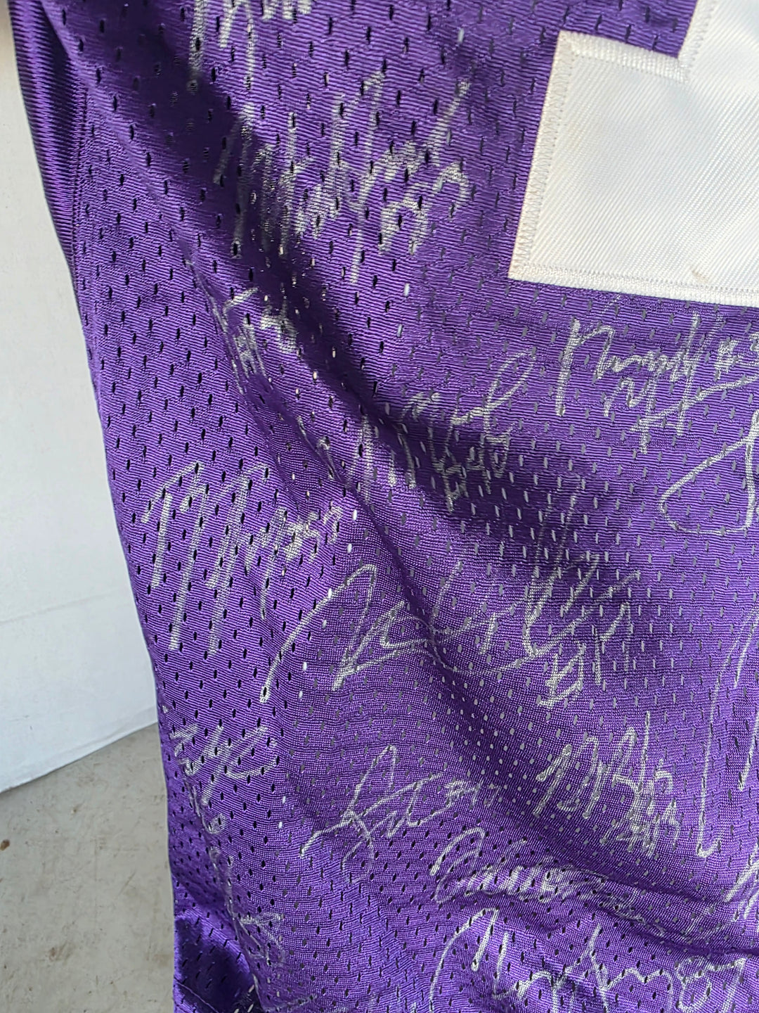 Jarrett Lee 2010-11 LSU Tigers Game Model Jersey Team Signed National Champs - original photo 4
