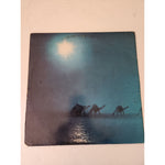 Load image into Gallery viewer, Carlos Santana Caravanserai LP signed with proof
