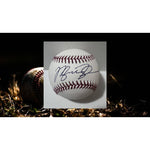 Load image into Gallery viewer, Michael Jordan official Rawlings MLB baseball signed with proof
