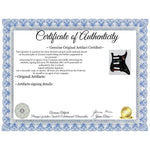 Load image into Gallery viewer, Metallica James Hetfield Lars Ulrich Kirk Hammett  Stratocaster electric pickguard signed with proof
