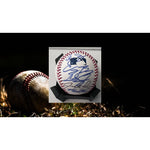 Load image into Gallery viewer, Corey Seager Cody Bellinger Max Muncie Justin Turner Chris Taylor Los Angeles Dodgers official Rawlings Major League Baseball signed with pr
