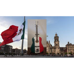 Load image into Gallery viewer, Vicente Fernandez full size Mexican flag acoustic guitar signed with proof
