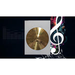 Load image into Gallery viewer, Paul Hewson Bono, The  Edge, Adam Clayton, Larry Mullen U2 10 inch cymbal signed with proof
