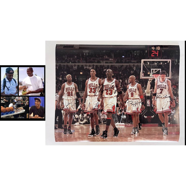 Chicago Bulls Michael Jordan Dennis Rodman Scottie Pippen Tony Kukoc and Ron Harper 16 by 20 photo signed with proof