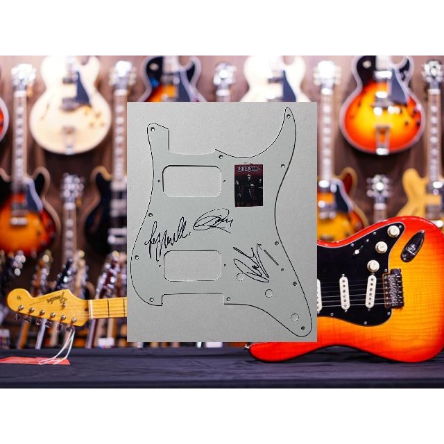 the Bee Gees Stratocaster electric pickguard signed with proof