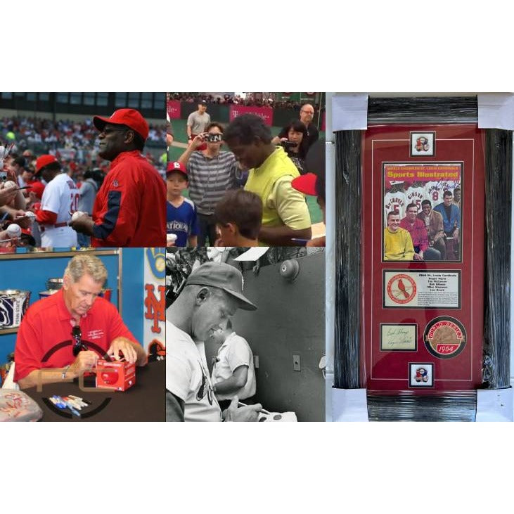 St. Louis Cardinals 1964 Roger Maris,  Tim McCarver, Bob Gibson,  Mike Shannon & Lou Brock 18x33 framed with proof