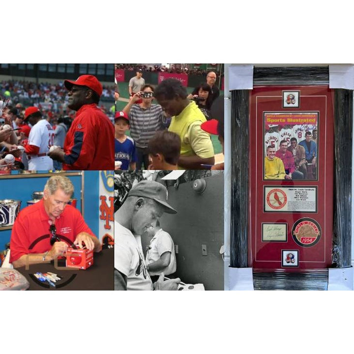 St. Louis Cardinals 1964 Roger Maris,  Tim McCarver, Bob Gibson,  Mike Shannon & Lou Brock 18x33 framed with proof