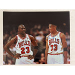 Load image into Gallery viewer, Chicago Bulls Michael Jordan and Scottie Pippen 16x20 photo signed with proof
