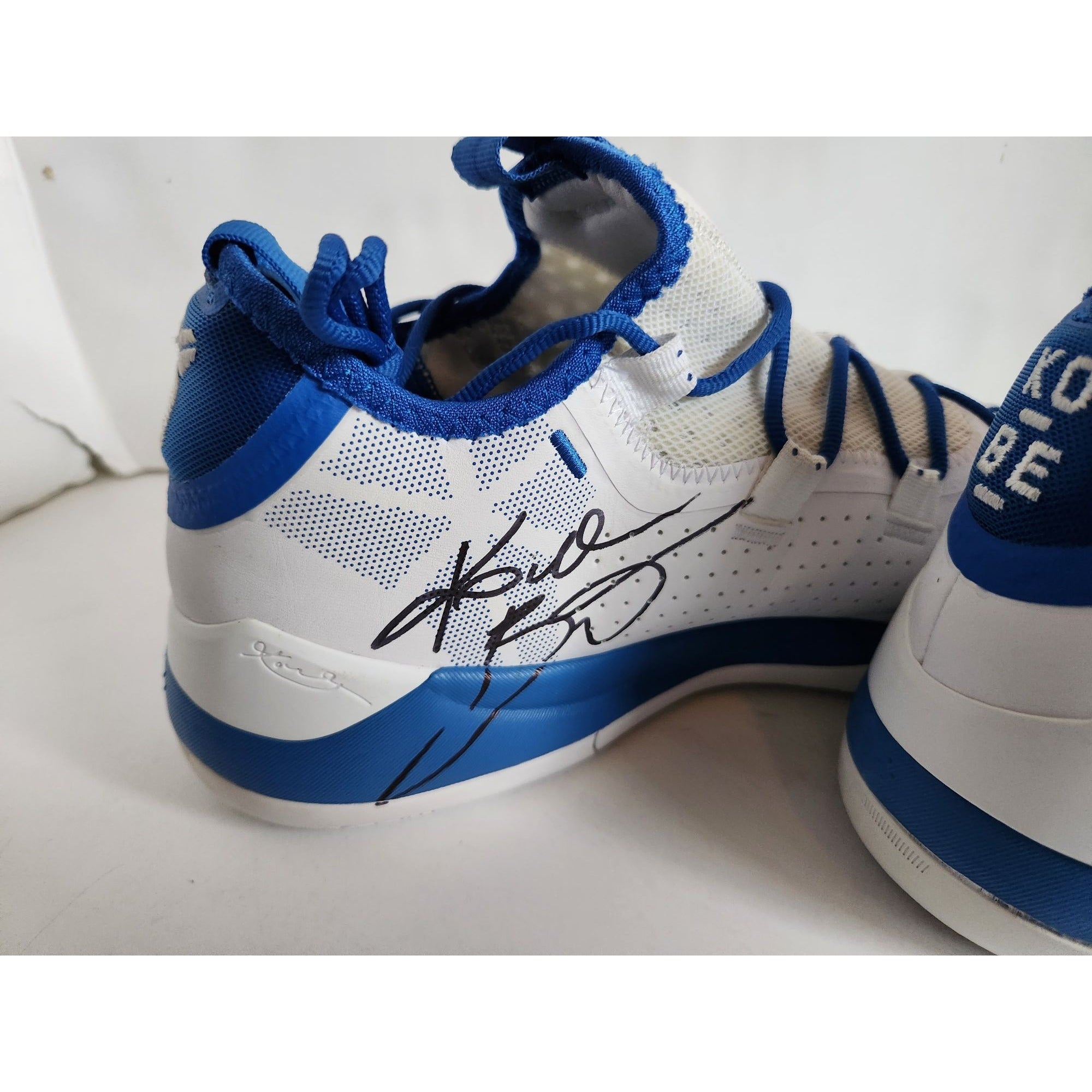 Kobe Bryant "The Mamba" Los Angeles Lakers game model Nike shoes signed with proof