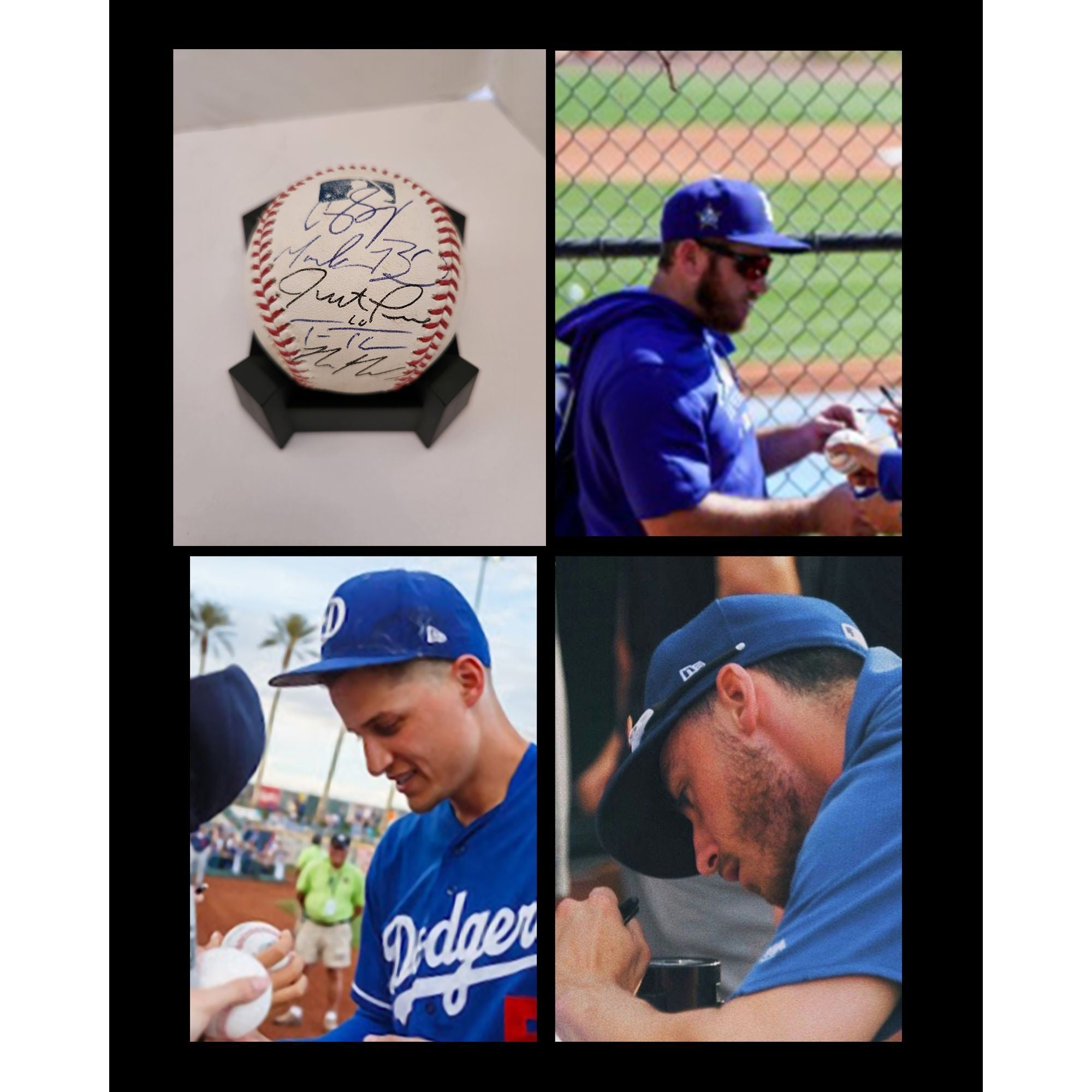 Corey Seager Walker Buehler Justin Turner Trey Turner Max Muncie Los Angeles Dodgers Rawlings MLB baseball signed with proof