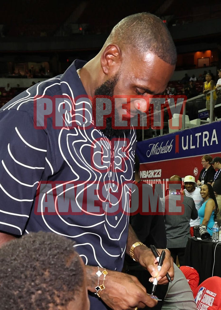 LeBron James Los Angeles Lakers 16x20 photograph signed with  proof