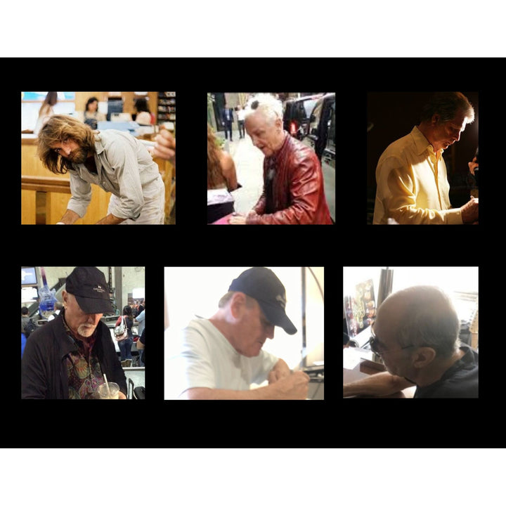 The Beach Boys Brian Carl Dennis Wilson Mike Love and Al Jardine one of a kind full size electric guitar signed with proof