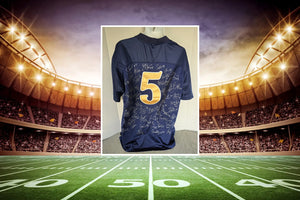 Manti Te'o Notre Dame Fighting Irish 2012 Game Model Jersey Team Signed