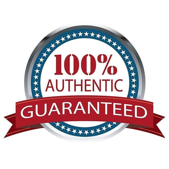 Certificate of Authenticity for Bruce Springsteen,n Clarence Clemens, Patti Scialfa Gary Tallent, Max Weinberg, Stevie Van Zant, Nils Lofgren