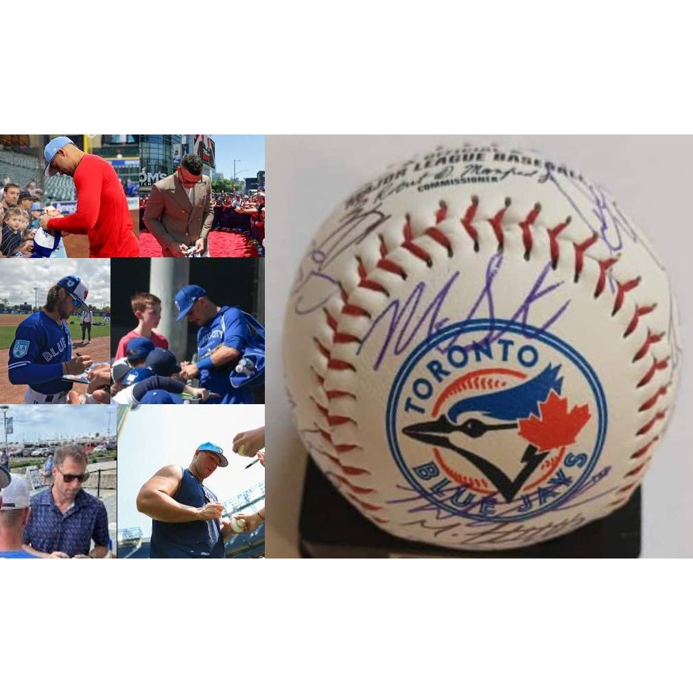 Toronto Blue Jays 2024 American League champs team signed Rawlings MLB baseball with proof