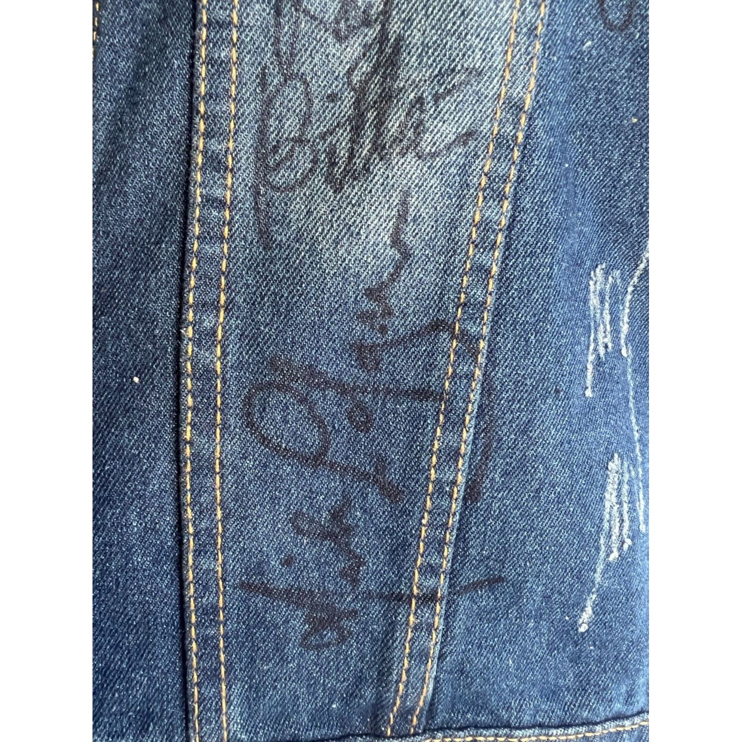 Bruce Springsteen Clarence Clemons Stevie Van Zandt and E street band  size L vest signed with proof