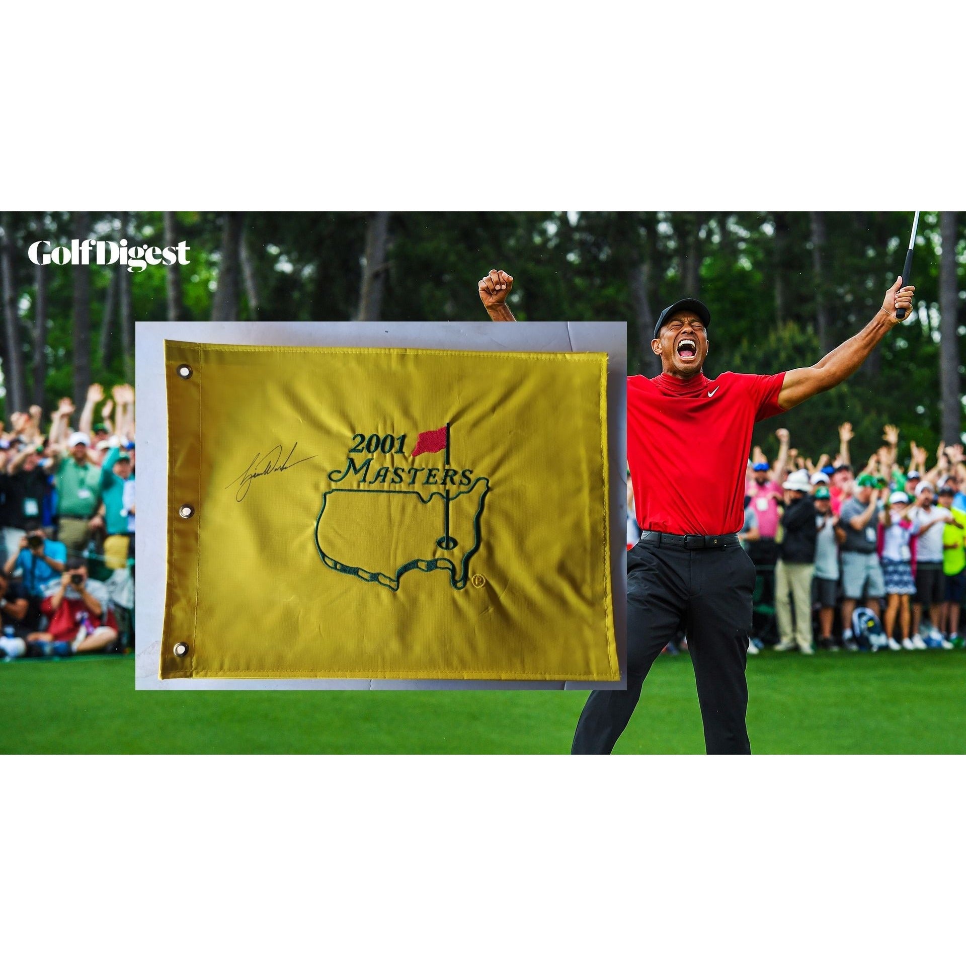 Golf Masters Flag for sale - Awesome Artifacts – Awesome
