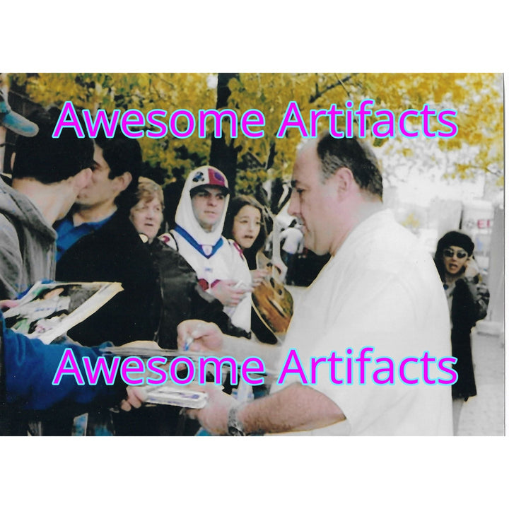 The Sopranos James Gandolfini Steve Van Zandt Michael Imperioli Tony Sirico Vincent Pastore 8x10 photo sign with proof Awesome Artifacts