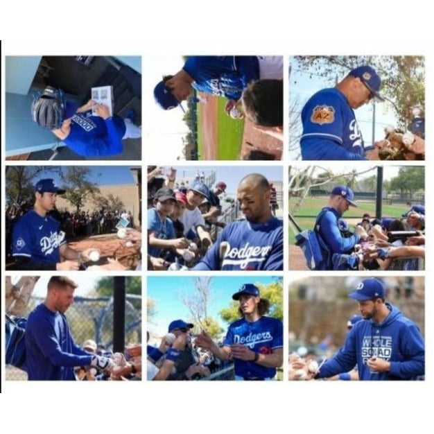 Los Angeles Dodgers Shohei Ohtani 2024 World Champions 16x20 photo signed with proof