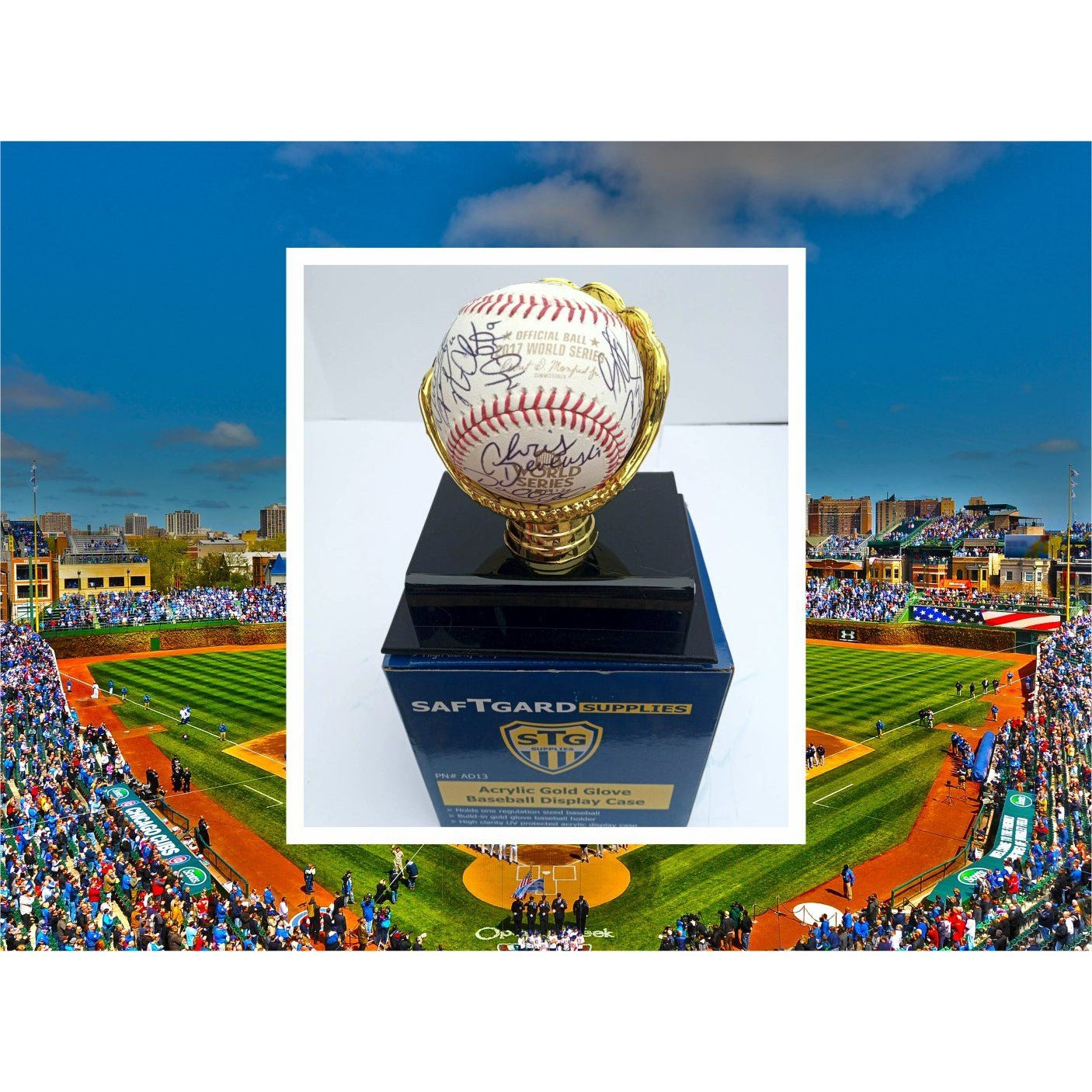 2017 Houston Astros world champions World Series baseball team signed with proof with free case