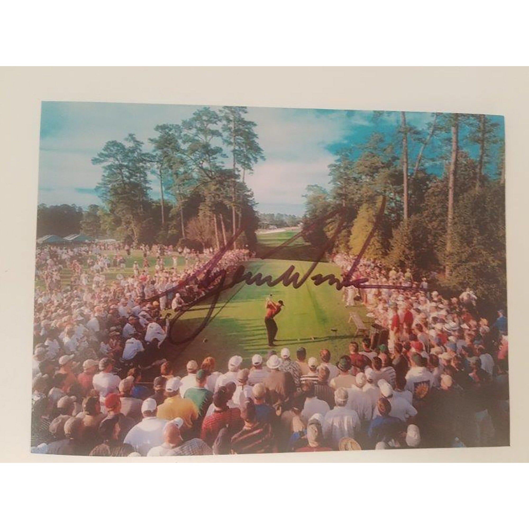 Tiger Woods 5 x 7 photo signed with proof