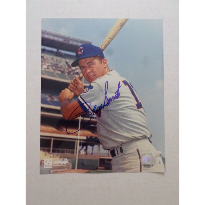 Ron Santo Chicago Cubs 8 by 10 signed photo - Awesome Artifacts 