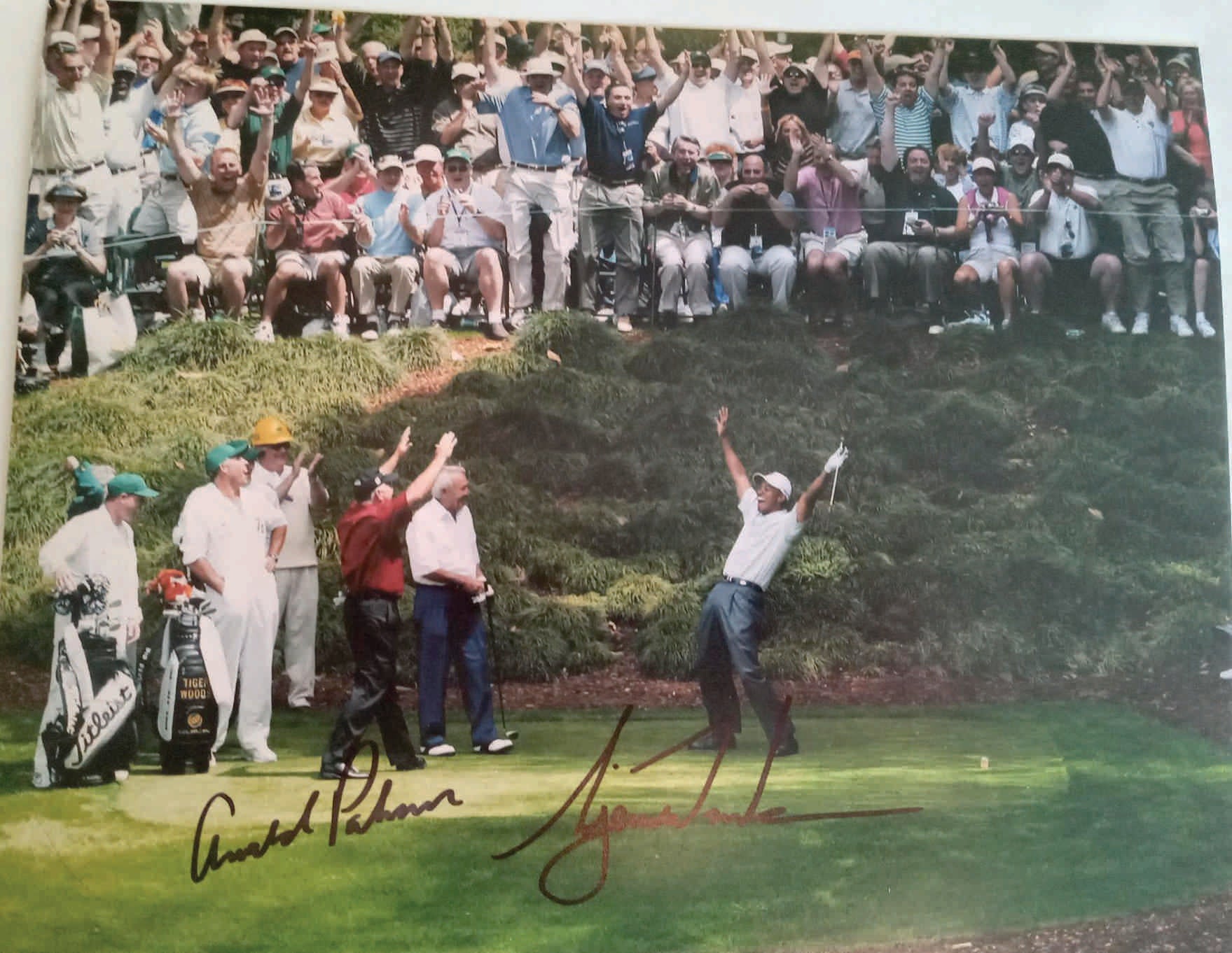 Tiger Woods in the Arnold Palmer 8 x 10 photo signed with proof