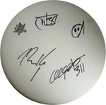 Load image into Gallery viewer, 311 SA Martinez Nick Hexum peanut 14in Remo drumhead signed
