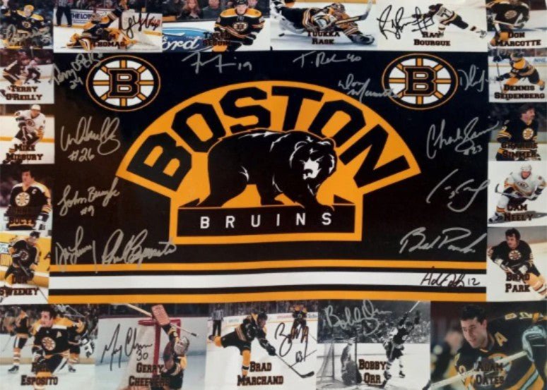 2013-14 Boston Bruins team signed 16 x 20 photo