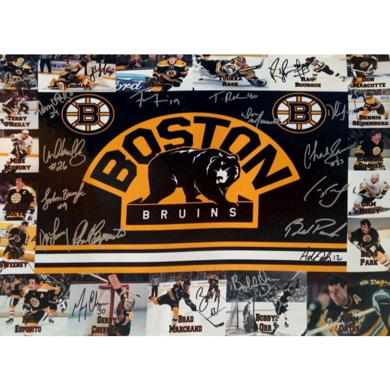 2013-14 Boston Bruins team signed 16 x 20 photo