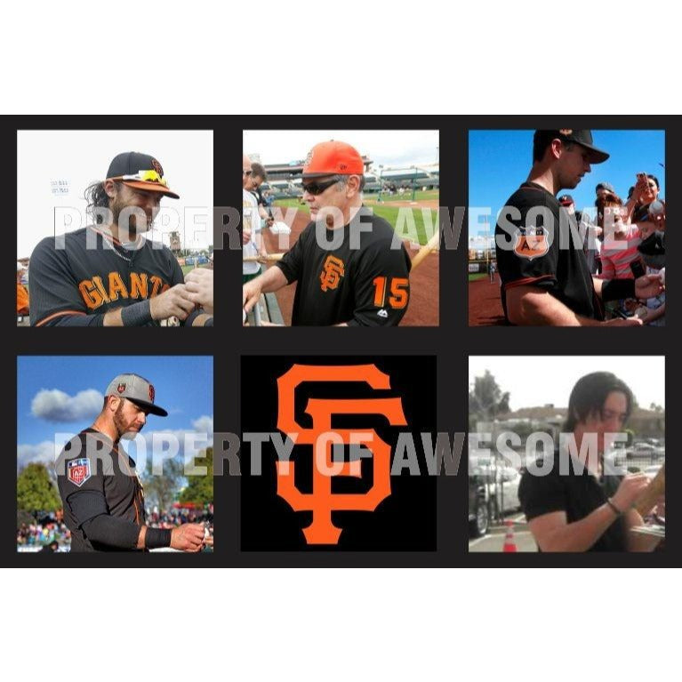 San Francisco Giants  Brandon Crawford Madison Bumgarner Buster Posey World Series champs 16 x 20 team signed photo - Awesome Artifacts 