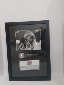David Bowie signed and framed microphone proof