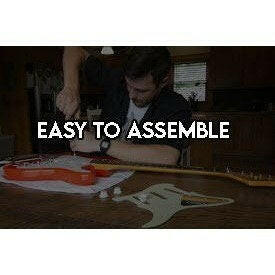Pearl Jam Eddie Vedder guitar pickguard signed