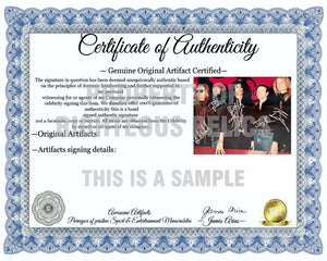 Steven Tyler Joe Perry Aerosmith 16 x 20 photo signed with proof