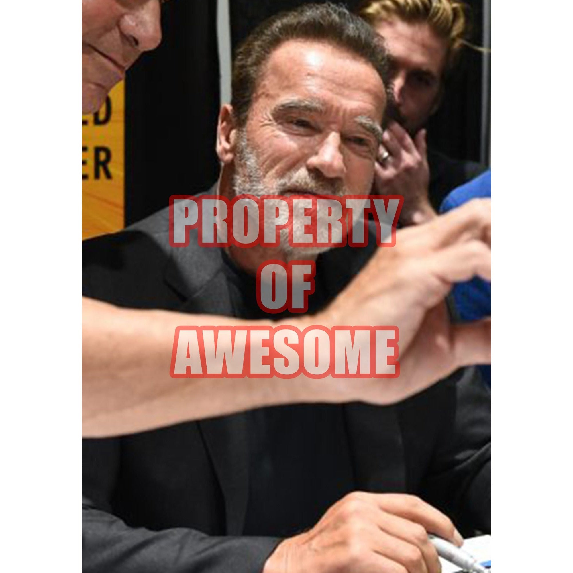 Arnold Schwarzenegger Terminator 8 x 10 signed photo with proof