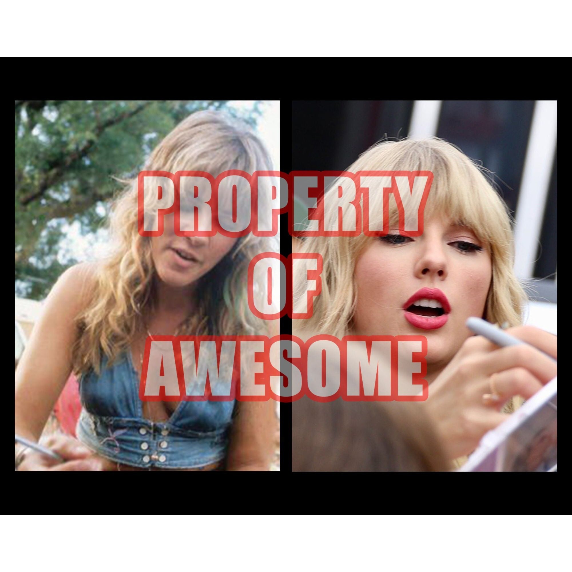 Stevie Nicks and Taylor Swift 8 x 10 photo signed with proof - Awesome Artifacts 