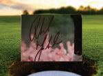 Load image into Gallery viewer, Phil Mickelson 8 x 10 photo signed with proof
