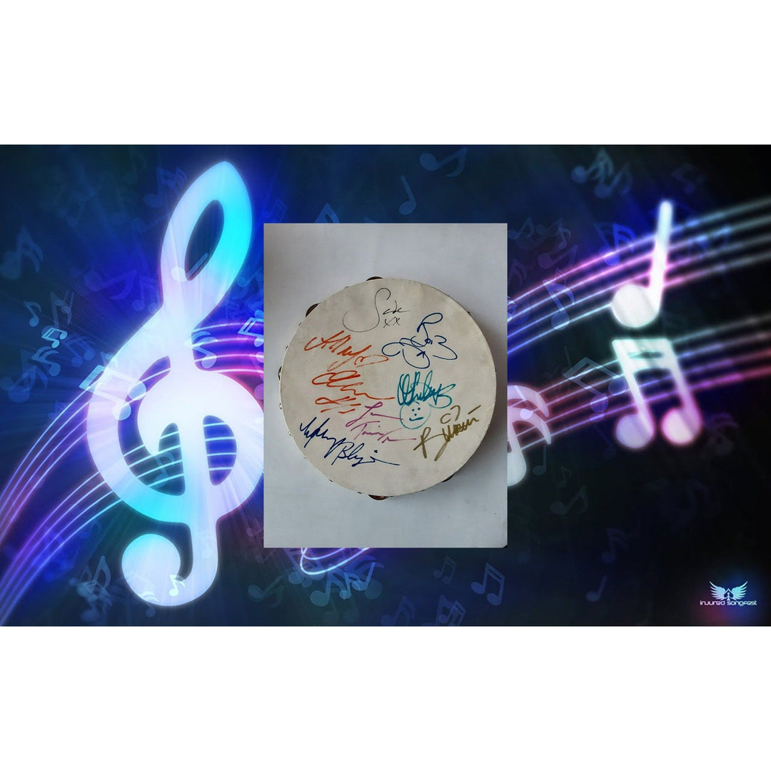 Beyonce, Whitney Houston, Alicia Keys, Tina Turner, Mary J Blige and Sade signed tambourine