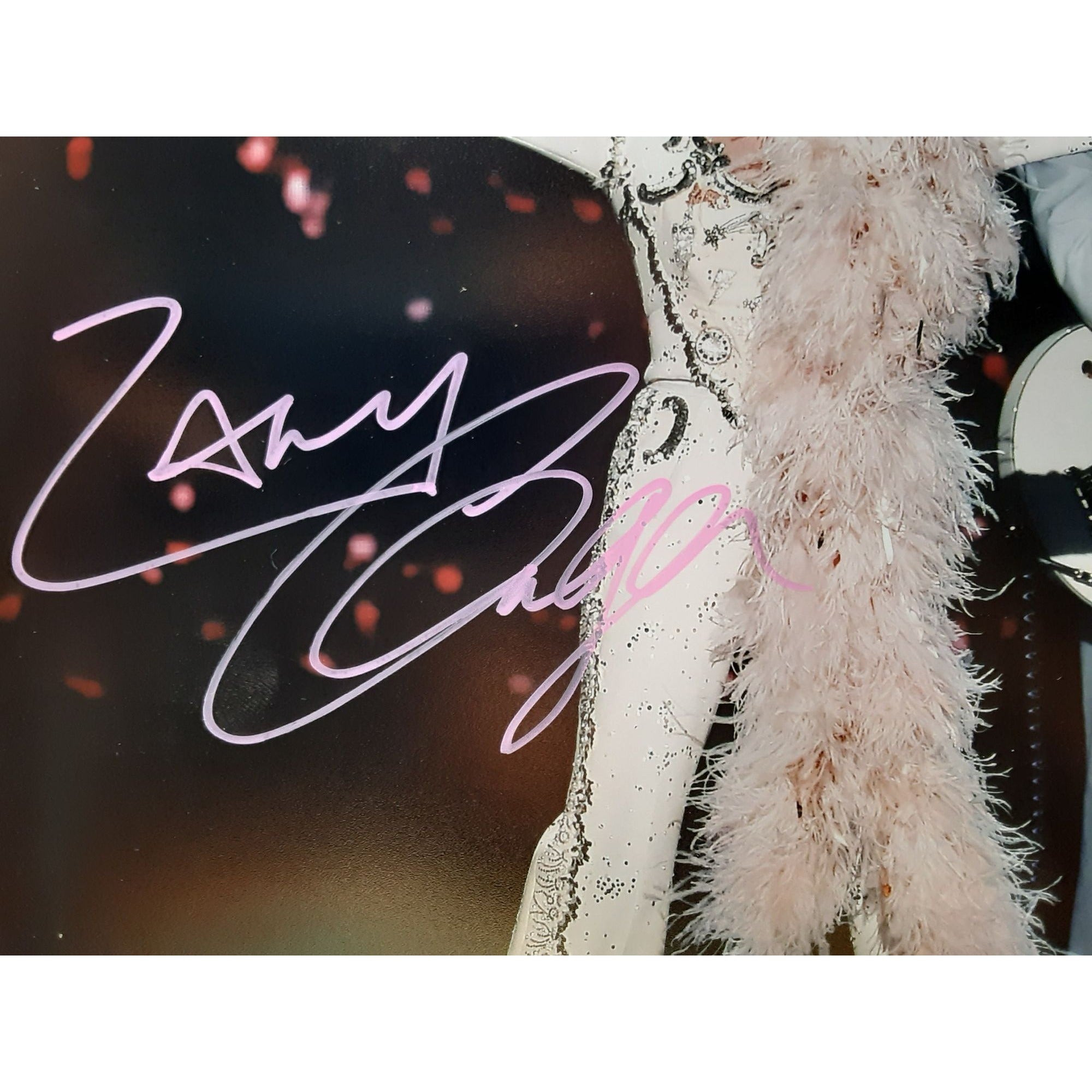 Lady Gaga 8 by 10 signed photo with proof - Awesome Artifacts 