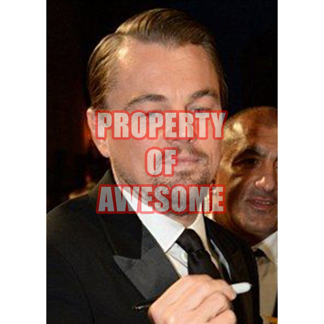 Leonardo DiCaprio The Wolf of Wall Street signed 8 x 10 photo with proof - Awesome Artifacts 