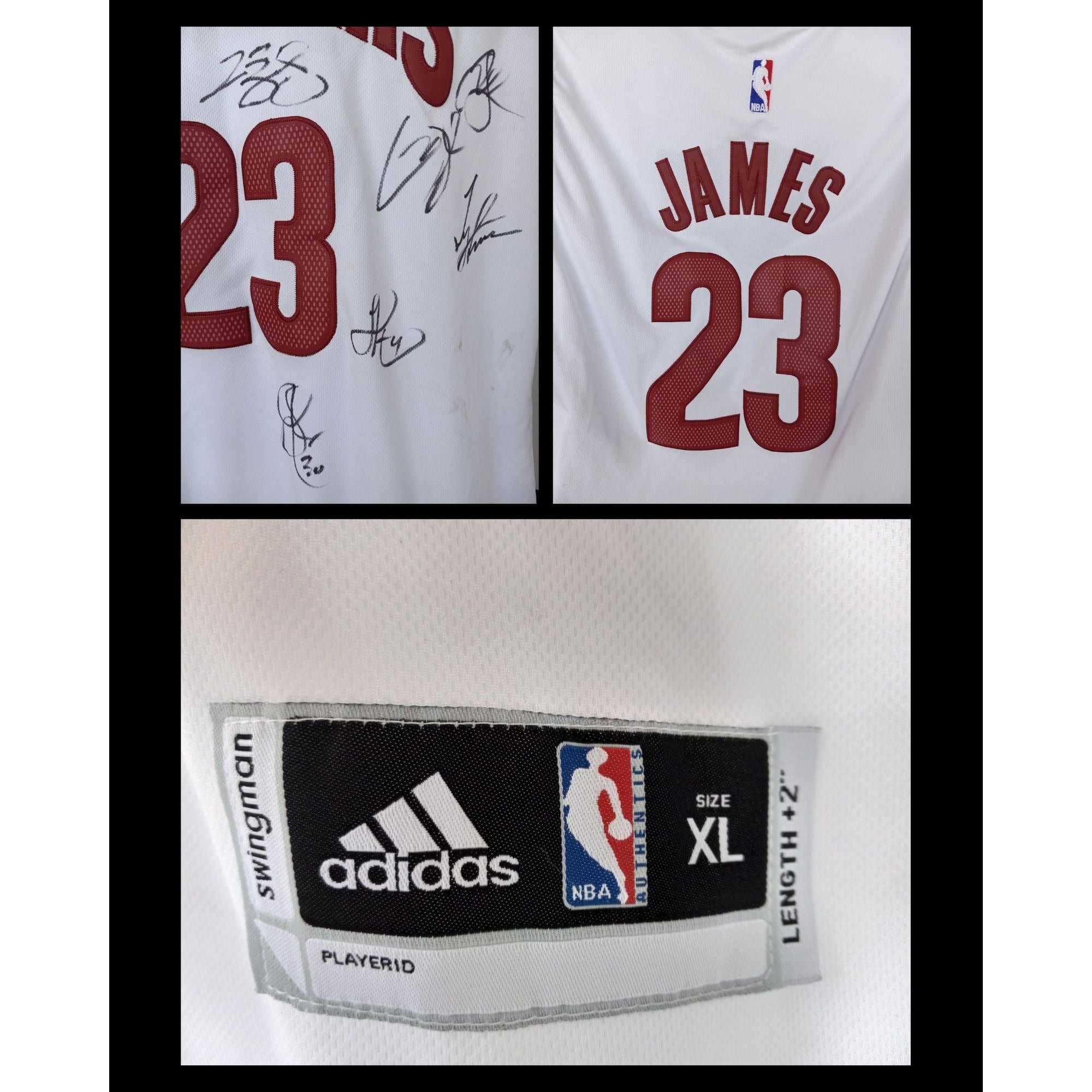 LeBron James Cavaliers Custom Framed Jersey Display with Official 2016 NBA  Champions Pin